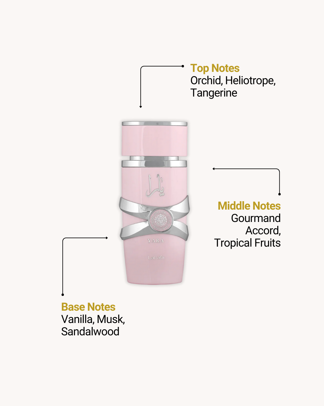 Asad EDP 100ml (Men), Yara EDP 100ml (Women) & Yara Moi EDP 100 ml (Women) - Set of 3